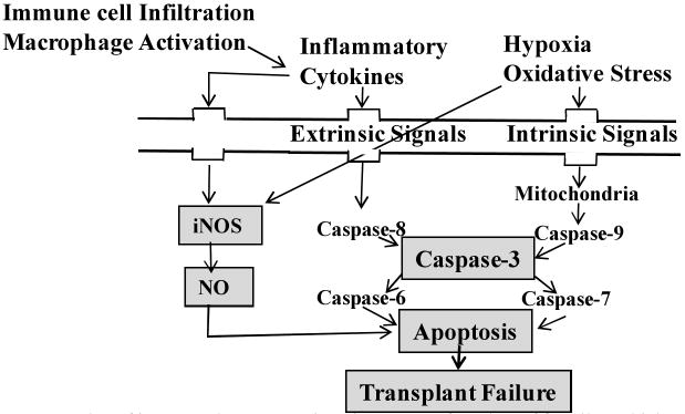 Fig.3