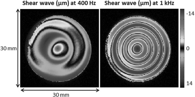 FIG. 3.