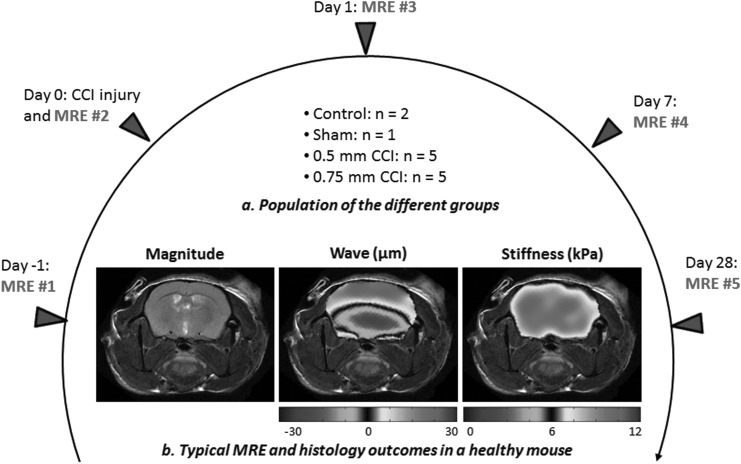 FIG. 1.