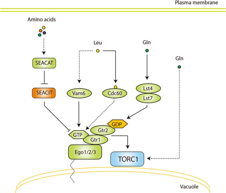 Figure 2