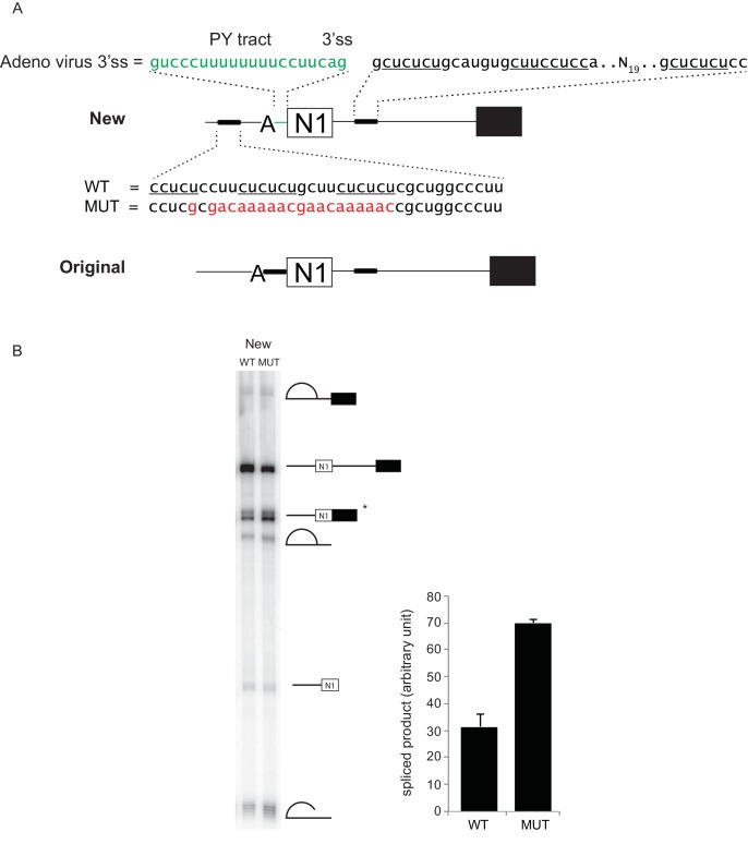 Figure 1—figure supplement 1.