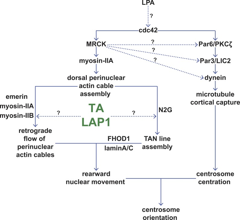 Figure 7.