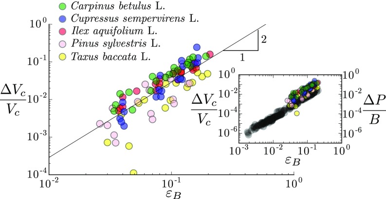 Fig. S5.