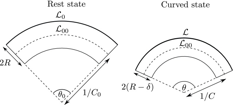 Fig. S3.