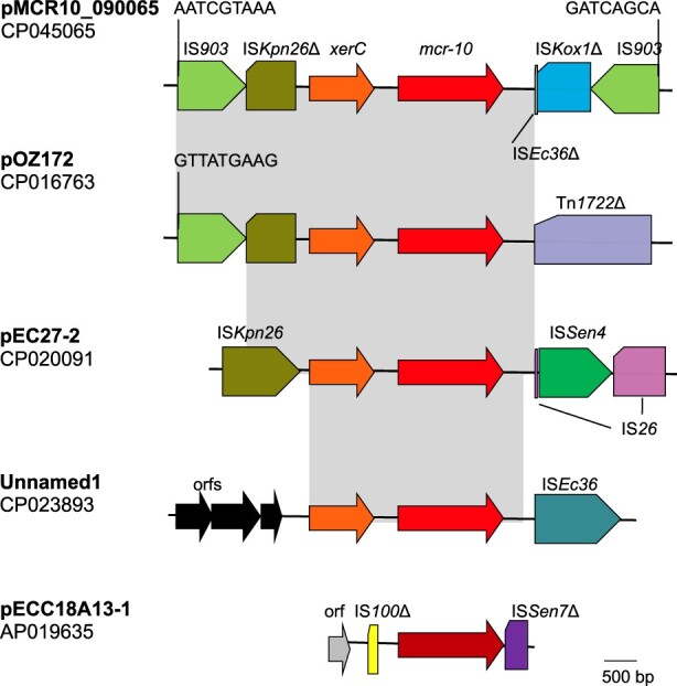 Figure 3.