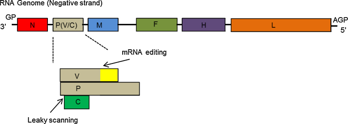 Fig. 3