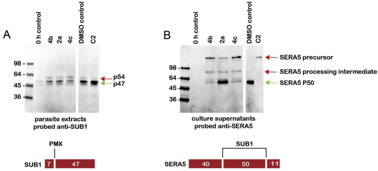 Fig. 4