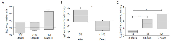 Figure 13