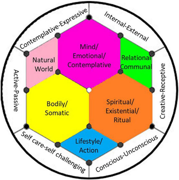 FIGURE 1