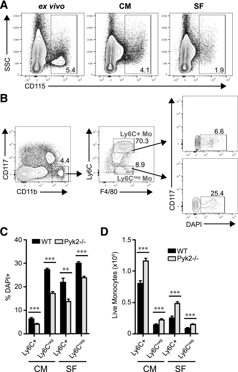 Figure 6.