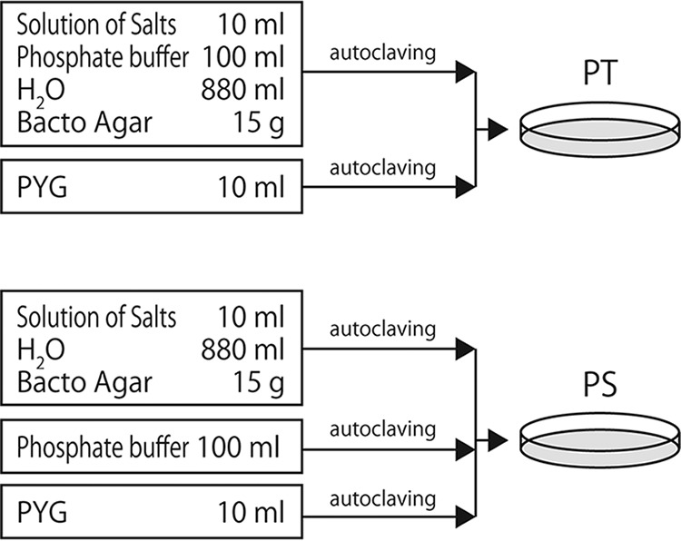 FIG 6