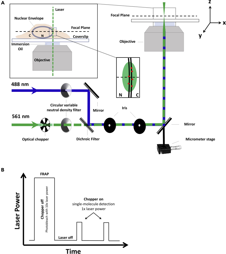 Figure 1