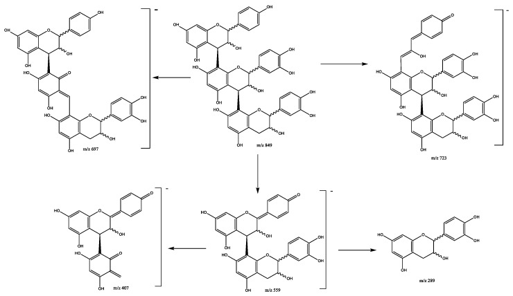 Figure 10