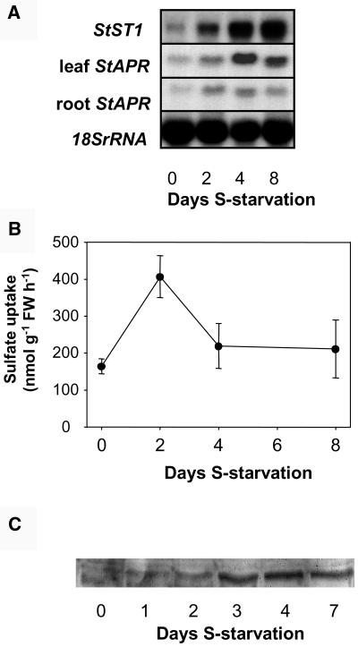 Figure 6.