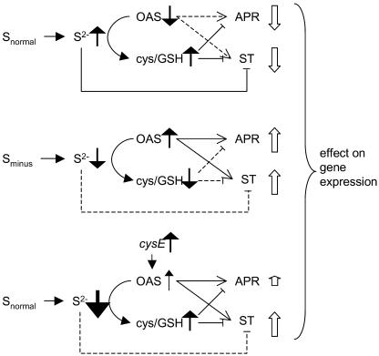 Figure 7.