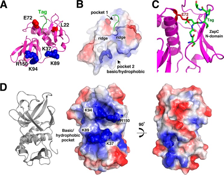 FIGURE 3.