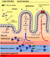 <b>FIG. 1.</b>