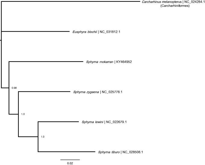 Figure 1.