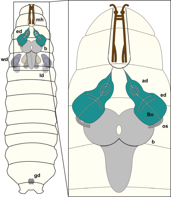 Figure 5.