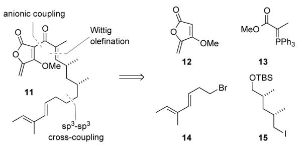 Scheme 2