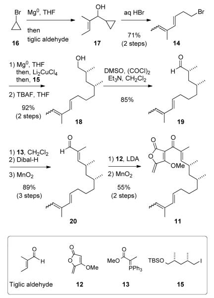 Scheme 3