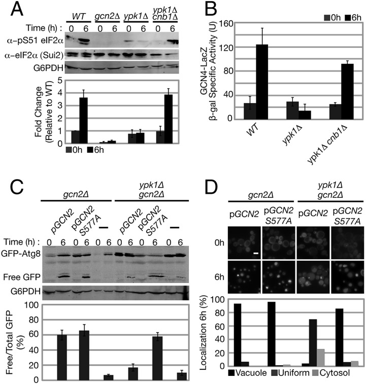 Fig. 4.