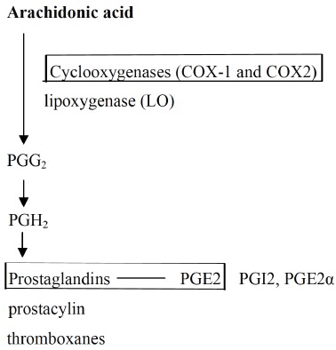 Fig. (1)