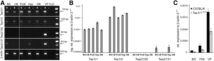 Figure 7.