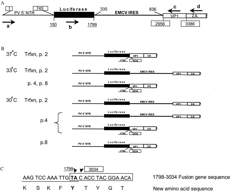 FIG. 3