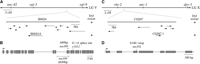 Figure 3.—