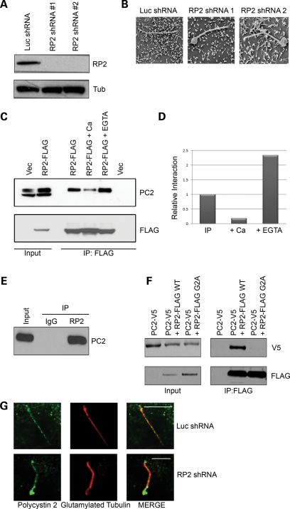 Figure 3.