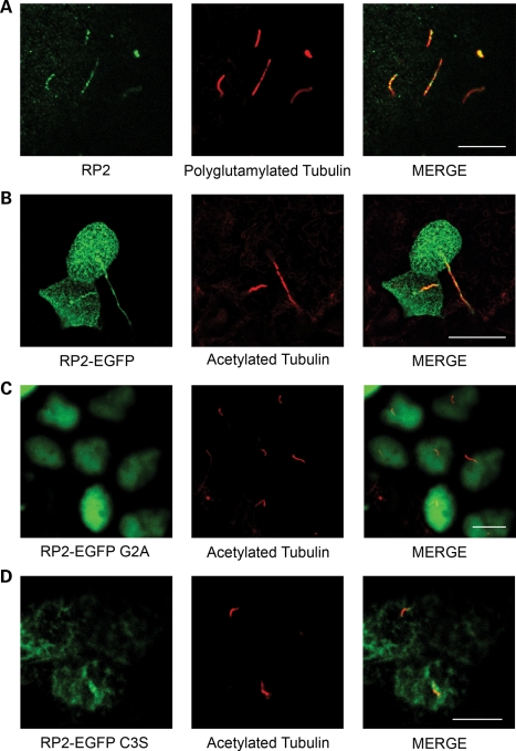 Figure 2.