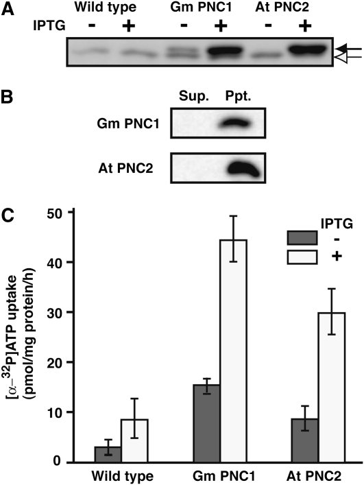 Figure 6.