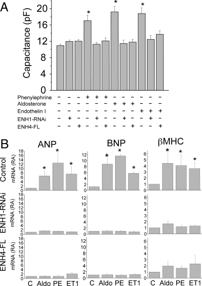 Figure 6