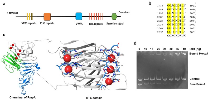 Fig. 10