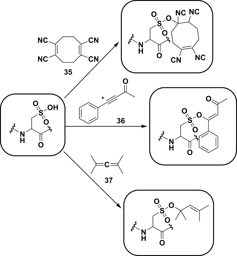 Chart 11