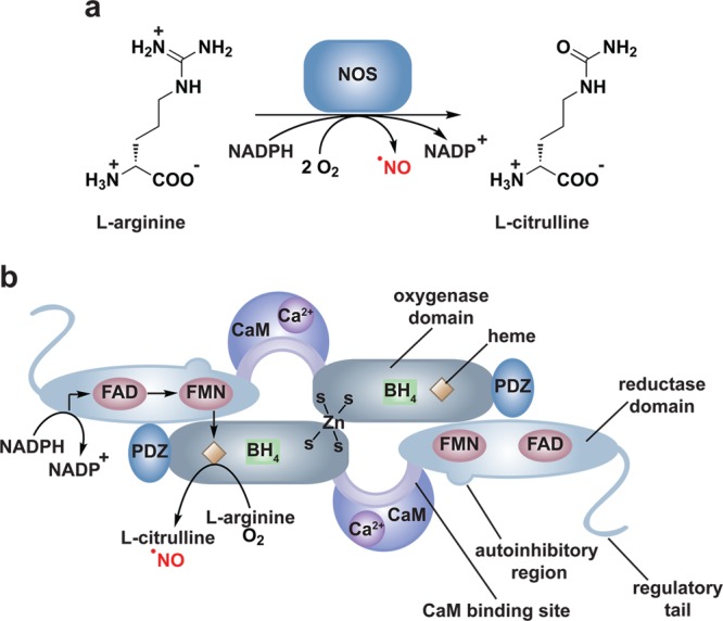 Figure 14