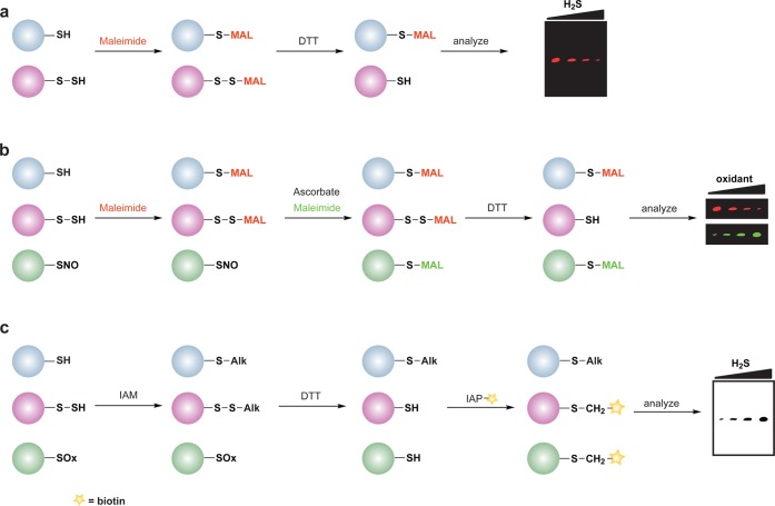 Figure 20