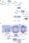 Figure 18