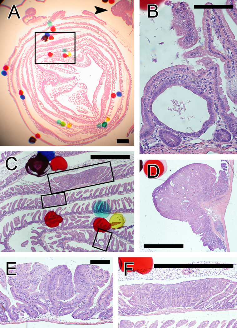 FIG. 4