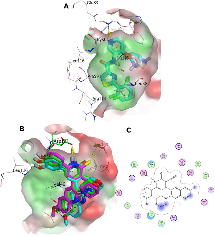 Figure 16.