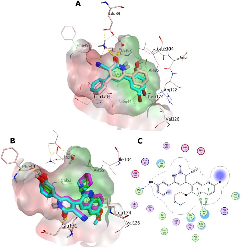 Figure 14.