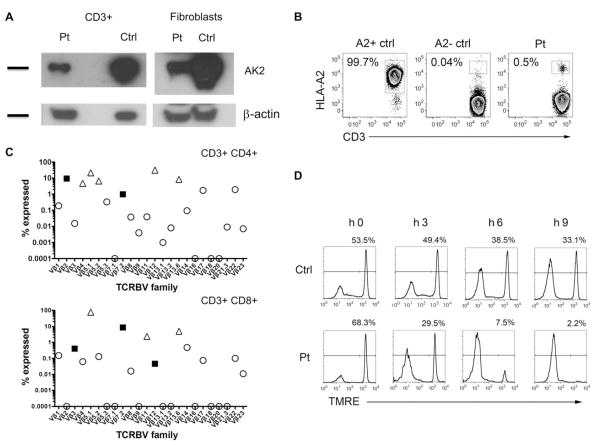 FIG 1