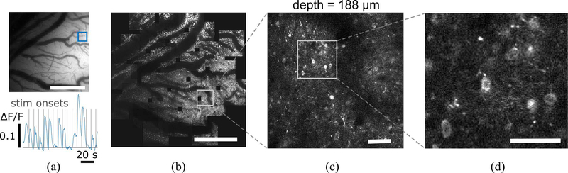 Figure 5: