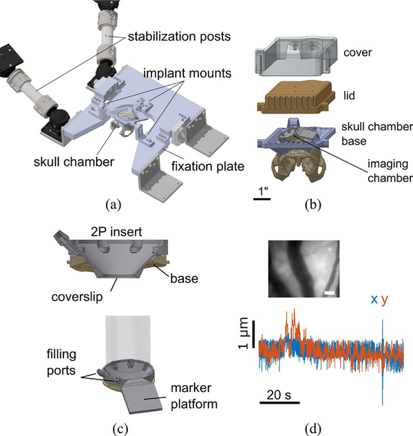 Figure 3: