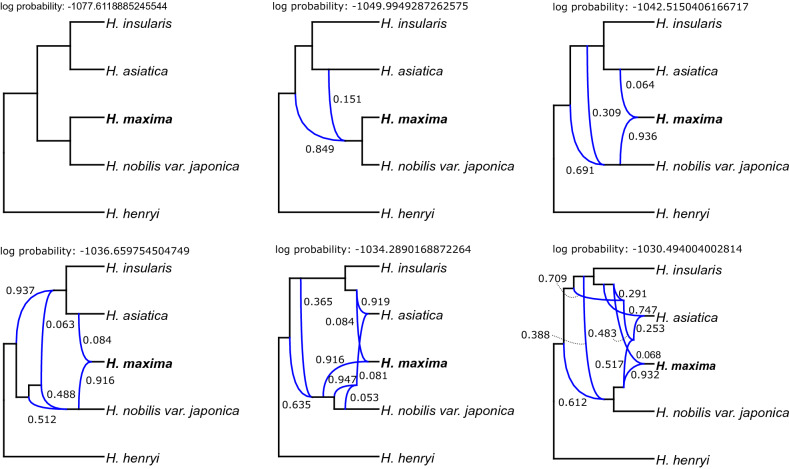 Figure 6