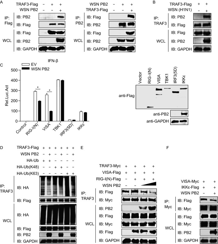 Figure 6