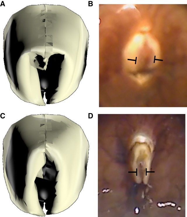 Fig. 8.