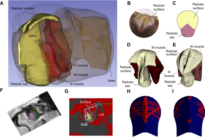 Fig. 3.