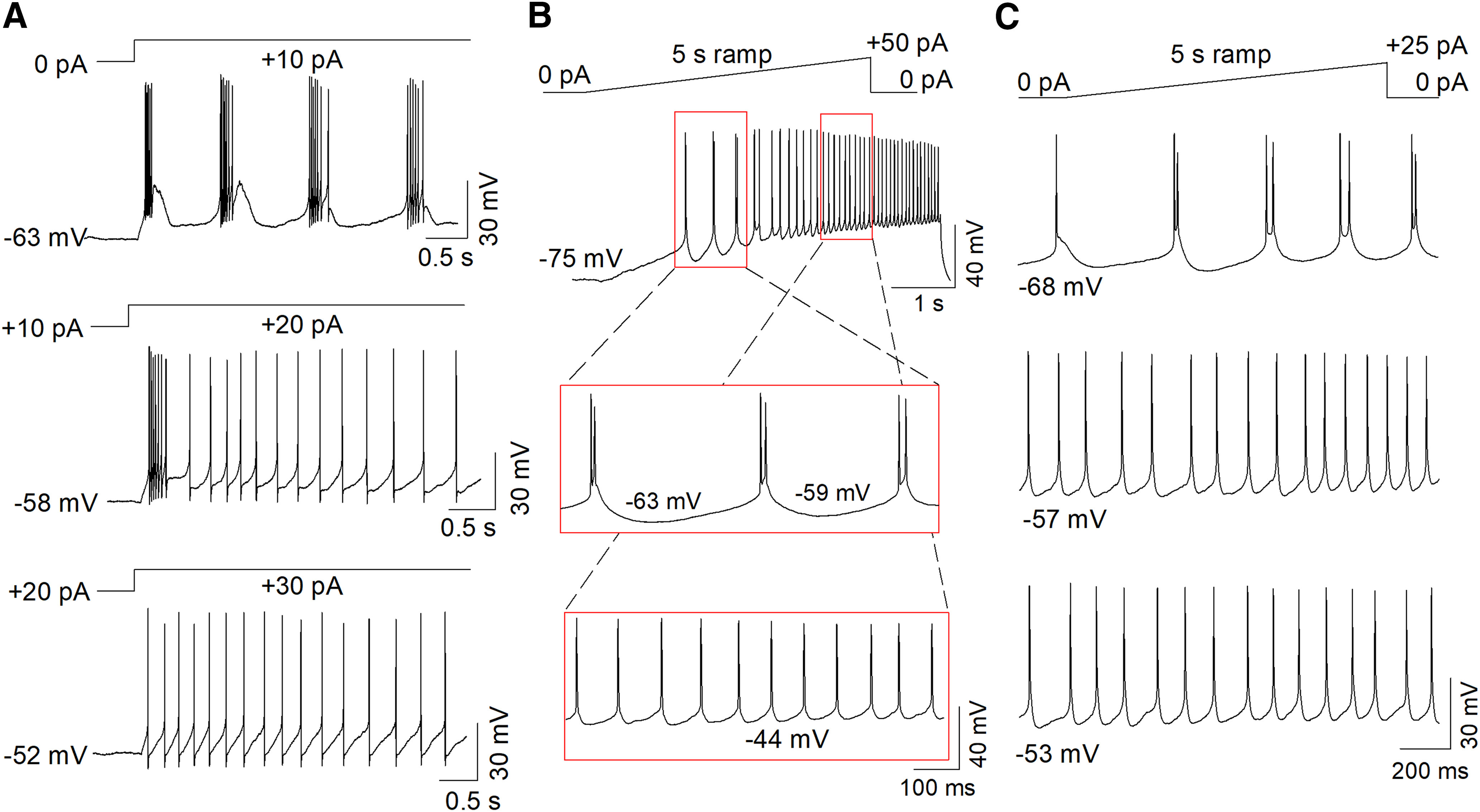 Figure 2.